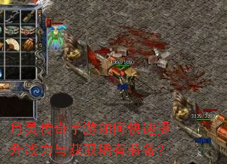 月灵传奇手游如何快速提升战力与获取稀有装备? 月灵传奇手游如何快速提升战力与获取稀有装备?