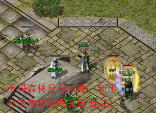 沃玛森林升级攻略:新手必须掌握哪些关键要点? 沃玛森林升级攻略:新手必须掌握哪些关键要点?