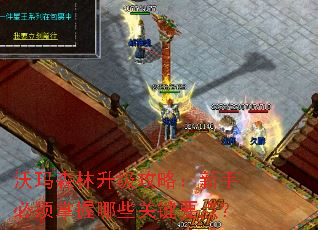沃玛森林升级攻略:新手必须掌握哪些关键要点? 沃玛森林升级攻略:新手必须掌握哪些关键要点?
