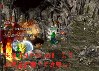 ����ɭ���������ԣ����ֱ���������Щ�ؼ�Ҫ�㣿
