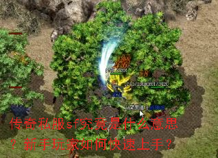 传奇私服sf究竟是什么意思?新手玩家如何快速上手? 传奇私服sf究竟是什么意思?新手玩家如何快速上手?