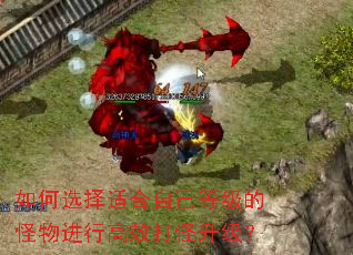 如何选择适合自己等级的怪物进行高效打怪升级? 如何选择适合自己等级的怪物进行高效打怪升级?
