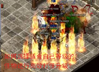 如何选择适合自己等级的怪物进行高效打怪升级? 如何选择适合自己等级的怪物进行高效打怪升级?