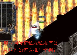 哪些网传奇私服私服有公益服?如何选择与辨别? 哪些网传奇私服私服有公益服?如何选择与辨别?