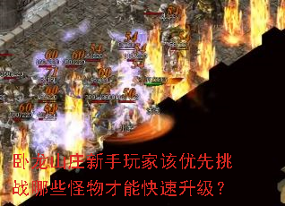 卧龙山庄新手玩家该优先挑战哪些怪物才能快速升级? 卧龙山庄新手玩家该优先挑战哪些怪物才能快速升级?