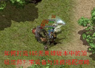 如何打造185无英雄版本中的顶级法师?求装备与技能搭配攻略 如何打造185无英雄版本中的顶级法师?求装备与技能搭配攻略