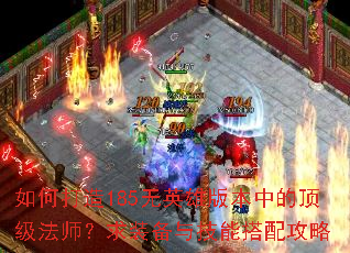 如何打造185无英雄版本中的顶级法师?求装备与技能搭配攻略 如何打造185无英雄版本中的顶级法师?求装备与技能搭配攻略