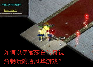 如何以伊丽莎白传奇视角畅玩隋唐风华游戏? 如何以伊丽莎白传奇视角畅玩隋唐风华游戏?