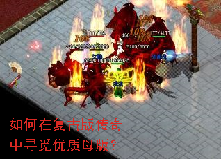 如何在复古版传奇中寻觅优质母版? 如何在复古版传奇中寻觅优质母版?