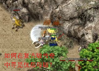 如何在复古版传奇中寻觅优质母版? 如何在复古版传奇中寻觅优质母版?