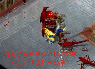传奇私服勋章获取地点有哪些?如何快速打出勋章? 传奇私服勋章获取地点有哪些?如何快速打出勋章?