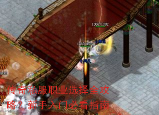 传奇私服职业选择全攻略?新手入门必看指南 传奇私服职业选择全攻略?新手入门必看指南