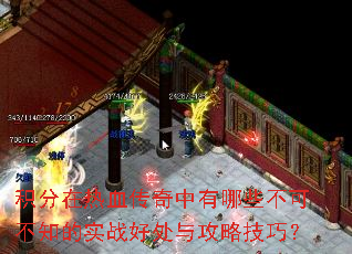 ��������Ѫ����������Щ���ɲ�֪��ʵս�ô��빥�Լ��ɣ�