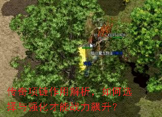 传奇项链作用解析,如何选择与强化才能战力飙升? 传奇项链作用解析,如何选择与强化才能战力飙升?
