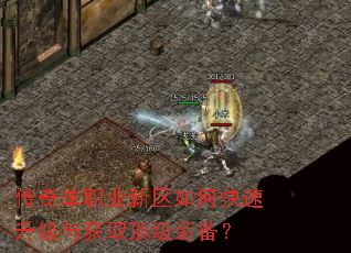 传奇单职业新区如何快速升级与获取顶级装备? 传奇单职业新区如何快速升级与获取顶级装备?