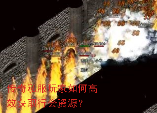 传奇私服玩家如何高效获取行会资源? 传奇私服玩家如何高效获取行会资源?