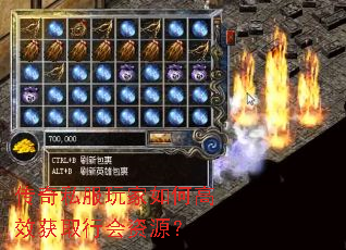 传奇私服玩家如何高效获取行会资源? 传奇私服玩家如何高效获取行会资源?