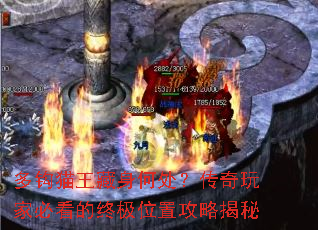 多钩猫王藏身何处?传奇玩家必看的终极位置攻略揭秘 多钩猫王藏身何处?传奇玩家必看的终极位置攻略揭秘