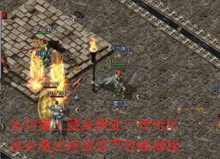 多钩猫王藏身何处?传奇玩家必看的终极位置攻略揭秘 多钩猫王藏身何处?传奇玩家必看的终极位置攻略揭秘