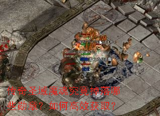 ����ʥ��ħ�꾿��������Щѫ�£���θ�Ч��ȡ��