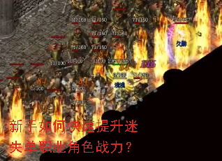 ������ο���������ʧ��ְҵ��ɫս����