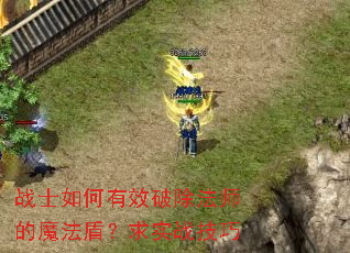 战士如何有效破除法师的魔法盾?求实战技巧 战士如何有效破除法师的魔法盾?求实战技巧