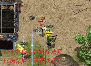 战士如何有效破除法师的魔法盾?求实战技巧 战士如何有效破除法师的魔法盾?求实战技巧