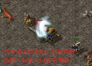 传奇道士职业核心技能如何选择?新手入门必学哪些? 传奇道士职业核心技能如何选择?新手入门必学哪些?