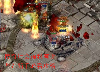 传奇行会福利有哪些?新手必看攻略 传奇行会福利有哪些?新手必看攻略