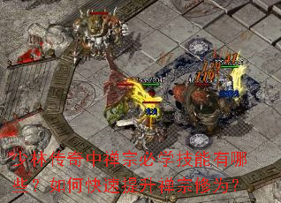 少林传奇中禅宗必学技能有哪些?如何快速提升禅宗修为? 少林传奇中禅宗必学技能有哪些?如何快速提升禅宗修为?