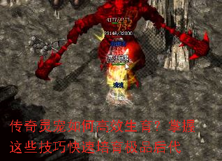传奇灵宠如何高效生育?掌握这些技巧快速培育极品后代 传奇灵宠如何高效生育?掌握这些技巧快速培育极品后代
