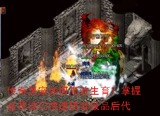 ���������θ�Ч������������Щ���ɿ���������Ʒ���