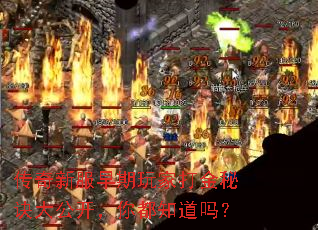 传奇新服早期玩家打金秘诀大公开,你都知道吗? 传奇新服早期玩家打金秘诀大公开,你都知道吗?