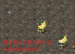 ������ʿ��ο��������������ռ�BOSS��