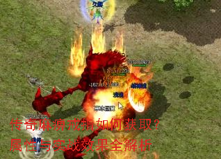 ������Խ�ָ��λ�ȡ��������ʵսЧ��ȫ����