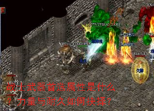 战士武器首选属性是什么?力量与耐久如何抉择? 战士武器首选属性是什么?力量与耐久如何抉择?