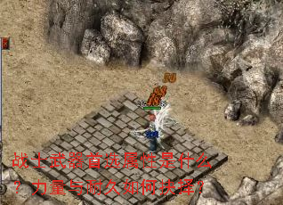 战士武器首选属性是什么?力量与耐久如何抉择? 战士武器首选属性是什么?力量与耐久如何抉择?