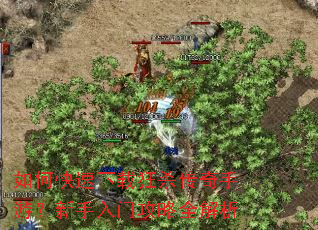 如何快速下载狂杀传奇手游?新手入门攻略全解析 如何快速下载狂杀传奇手游?新手入门攻略全解析