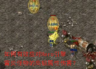 如何有效应对Hero引擎雷炎怪物的高额属性伤害? 如何有效应对Hero引擎雷炎怪物的高额属性伤害?