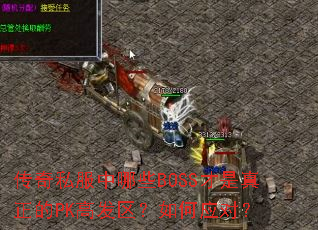 ����˽������ЩBOSS����������PK�߷��������Ӧ�ԣ�