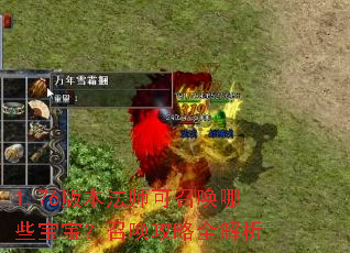 1.76�汾��ʦ���ٻ���Щ�������ٻ�����ȫ����