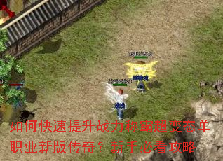 如何快速提升战力称霸超变态单职业新版传奇?新手必看攻略 如何快速提升战力称霸超变态单职业新版传奇?新手必看攻略