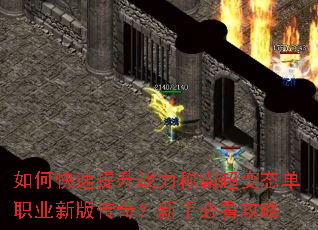 ��ο�������ս���ưԳ���̬��ְҵ�°洫�棿���ֱؿ�����