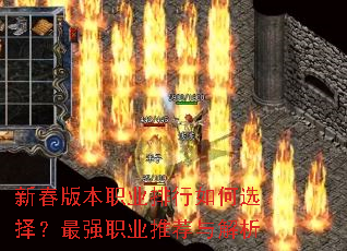 新春版本职业排行如何选择?最强职业推荐与解析 新春版本职业排行如何选择?最强职业推荐与解析