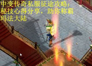 中变传奇私服征途攻略：秘技心得分享，助你称霸玛法大陆