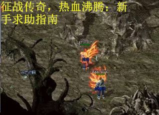 征战传奇，热血沸腾：新手求助指南