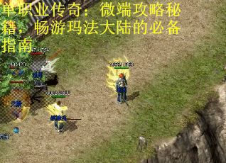 单职业传奇：微端攻略秘籍，畅游玛法大陆的必备指南