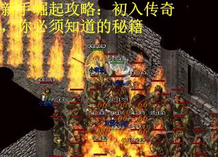 新手崛起攻略：初入传奇，你必须知道的秘籍