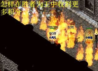 怎样在胜者为王中收割更多积分
