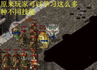 原来玩家可以学习这么多种不同技能